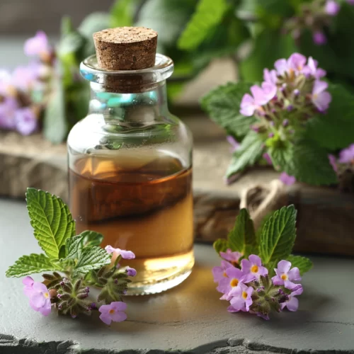 Verbena Flavour (WS) 12 Taste